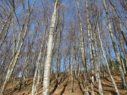 PASSEGGIATA DI PASQUETTA ALLA CROCE DI ZORZONE Lunedi 9 aprile 2012 - FOTOGALLERY